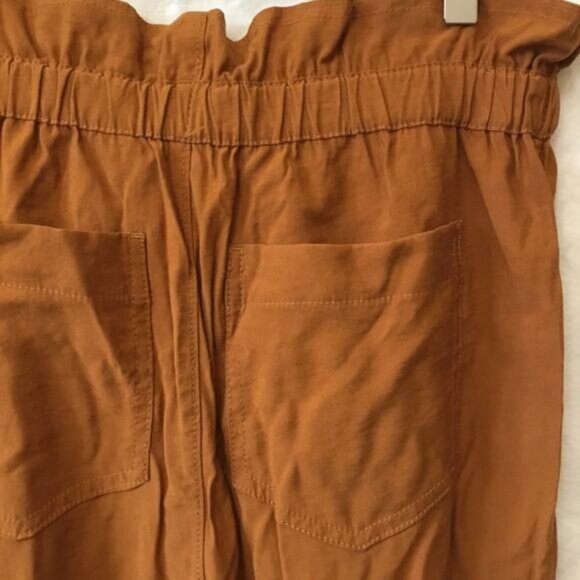 Madewell Gold Dunaway Paperbag Pants - Picture 11 of 14